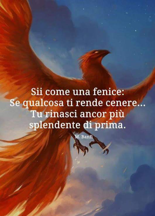 "Sii come una fenice: se qualcosa ti rende cenere... tu rinasci ancor più risplendente di prima."