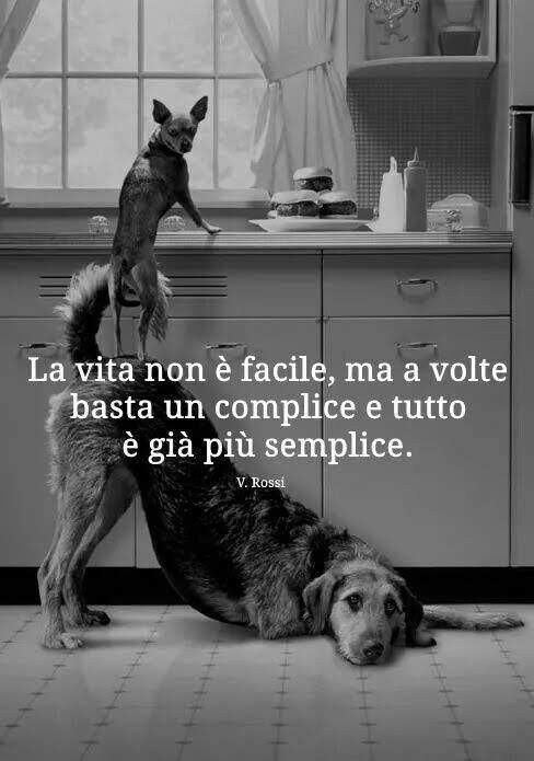 "La vita non è facile, ma a volte basta un complice e tutto è già più semplice."