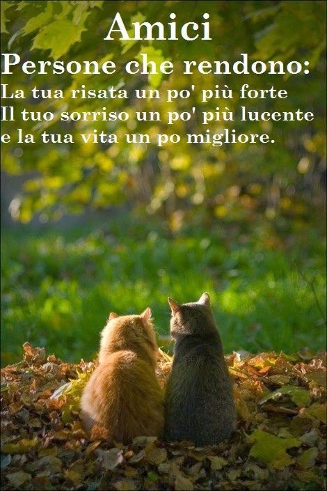 "Amici Persone che rendono: la tua risata un pò più forte, il tuo sorriso un pò più lucente e la tua vita un pò migliore."