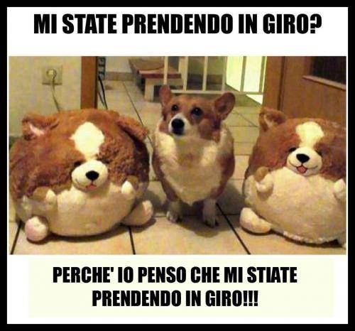 Mi state prendendo in giro? Perchè io penso che mi stiate prendendo in giro !