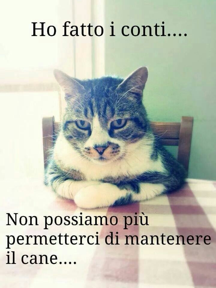 "Ho fatto i conti. Non possiamo più permetterci di mantenere il cane..."