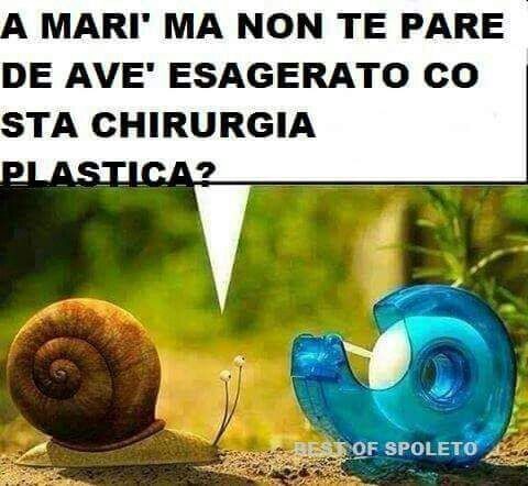 "A Marì ma non te pare de avè esagerato co sta chirurgia plastica?"