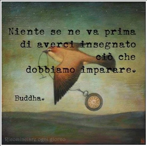 "Niente se ne va prima di averci insegnato ciò che dobbiamo imparare. - Buddha