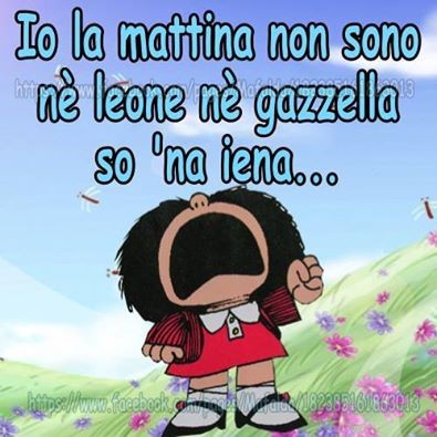 "Io la mattina non sono nè leone nè gazzella, so 'na iena..."