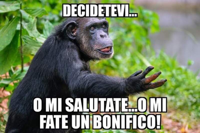 "Decidetevi... o mi salutate... o mi fate un bonifico!" - immagini divertenti