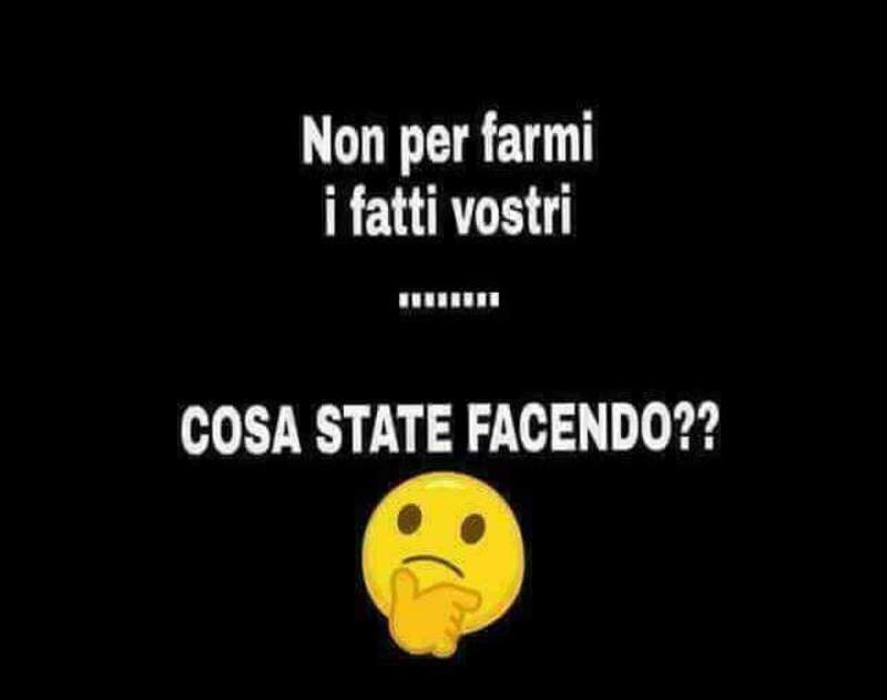 "Non per farmi i fatti vostri... Cosa state facendo?"