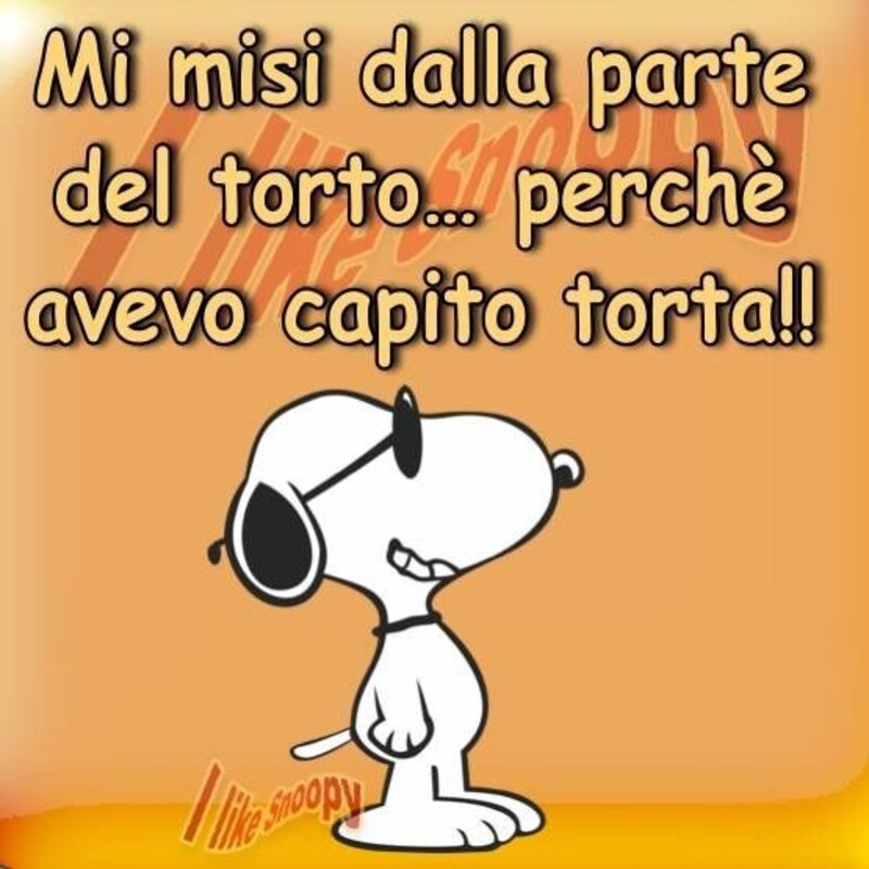 Snoopy - "Mi misi dalla parte del torto... perchè avevo capito torta!!"