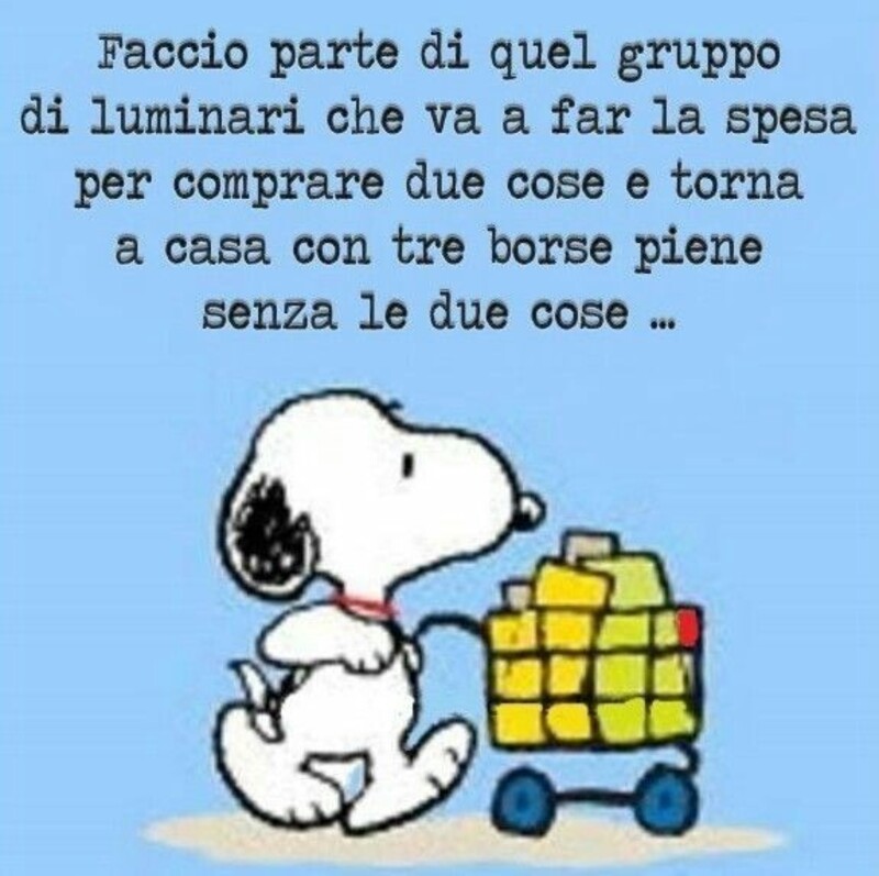 "Faccio parte di quel gruppo di luminari che va a far la spesa per comprare due cose e torna a casa con tre borse piene senza le due cose..."