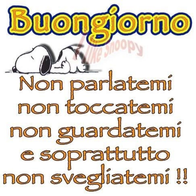 Snoopy - "Buongiorno, non parlatemi, non toccatemi, non guardatemi e soprattutto non svegliatemi !!"