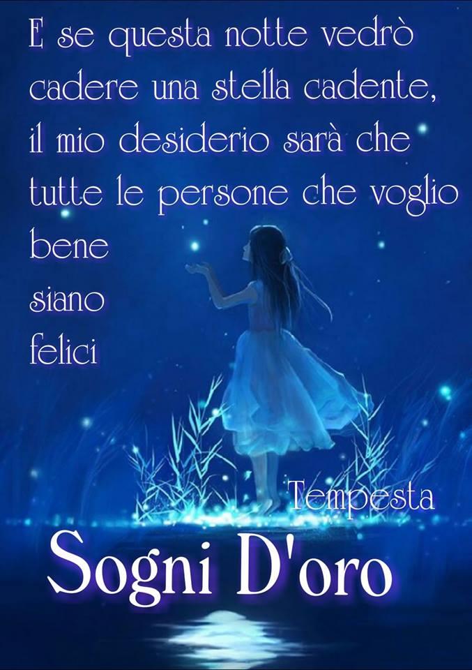 "E se questa notte vedrò cadere una stella cadente,, il mio desiderio sarà che tutte le persone a cui voglio bene siano felici. Sogni d'Oro"