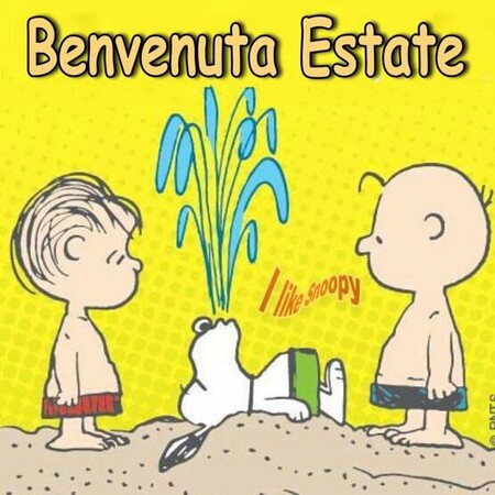 I Like Snoopy - "Benvenuta Estate"