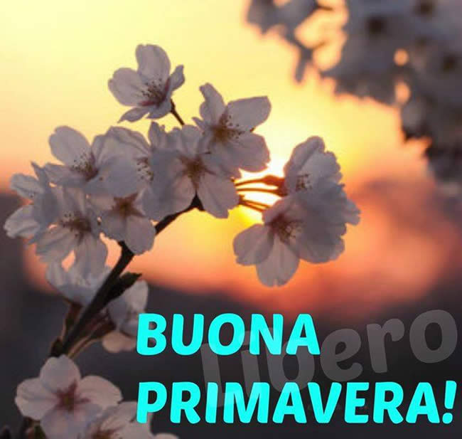 Libero - "BUONA PRIMAVERA !"