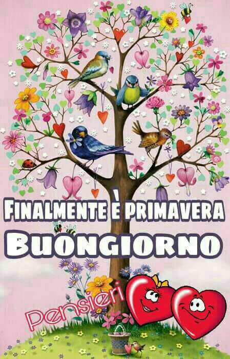 "Finalmente è Primavera, Buongiorno"