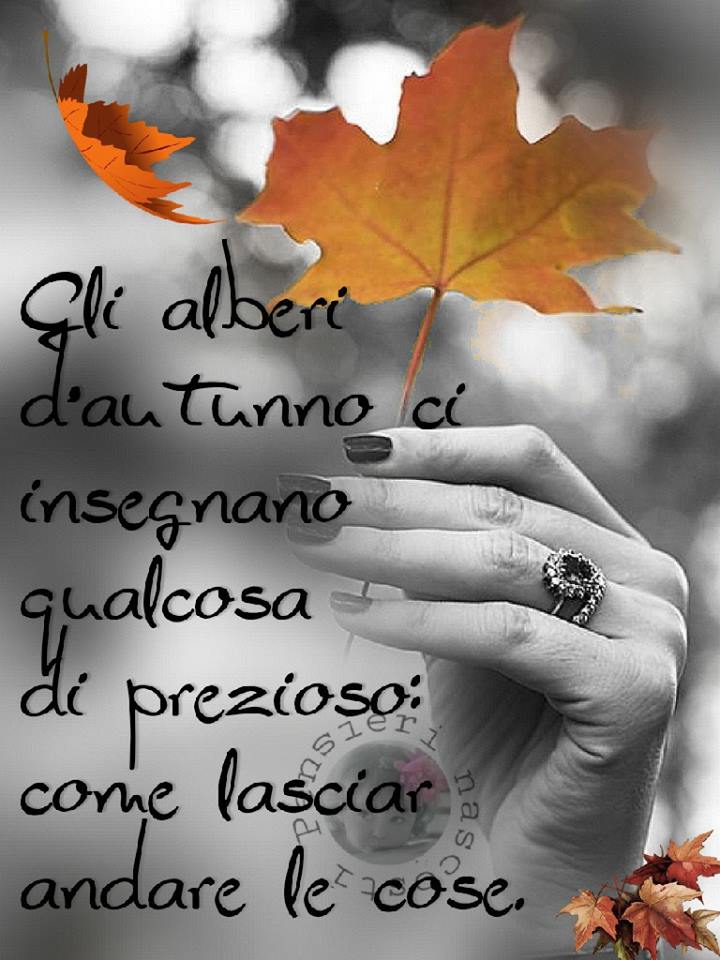 "Gli alberi d'Autunno ci insegnano qualcosa di prezioso: come lasciar andare le cose."