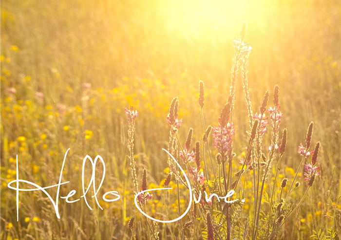 "Hello June"