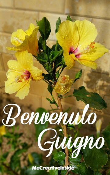 Buona Giornata 1° Giugno