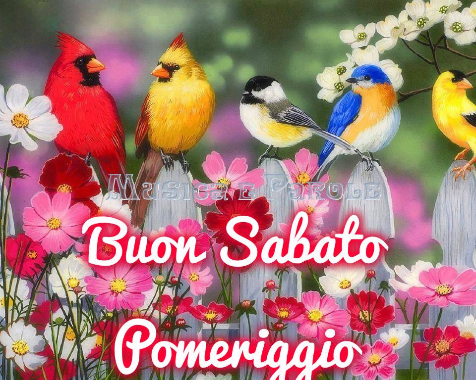 "Felice Sabato Pomeriggio"