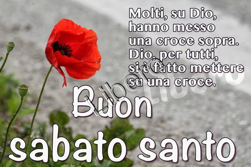 "Molti su Gesù hanno messo una croce sopra. Gesù, per tutti, si è fatto mettere sopra una croce......"