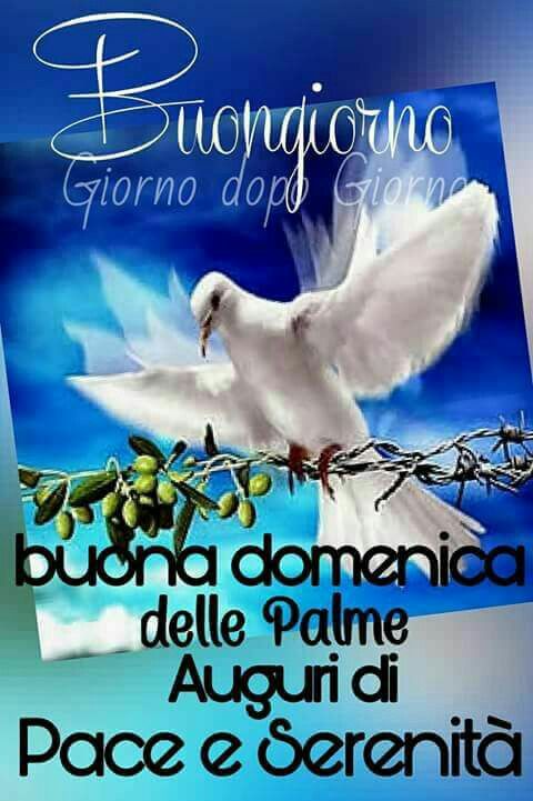 "Buongiorno Buona Domenica delle Palme. Auguri di pace e serenità"