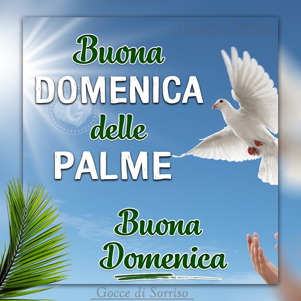 "Buona Domenica delle Palme"