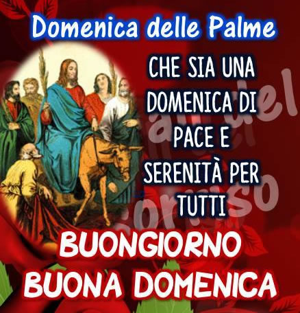 "Domenica delle Palme. Che sia una Domenica di pace e serenità per tutti. Buongiorno Buona Domenica"