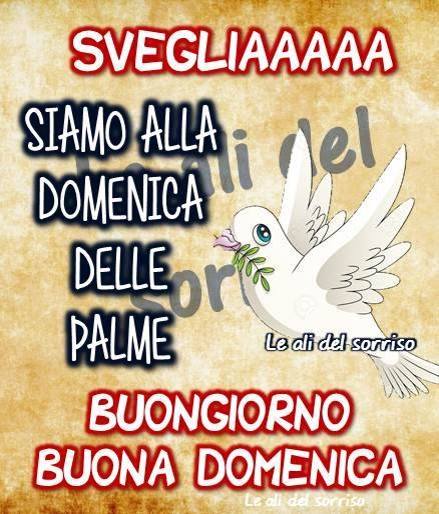 "SVEGLIAAA SIAMO ALLA DOMENICA DELLE PALME! BUONGIORNO E BUONA DOMENICA"