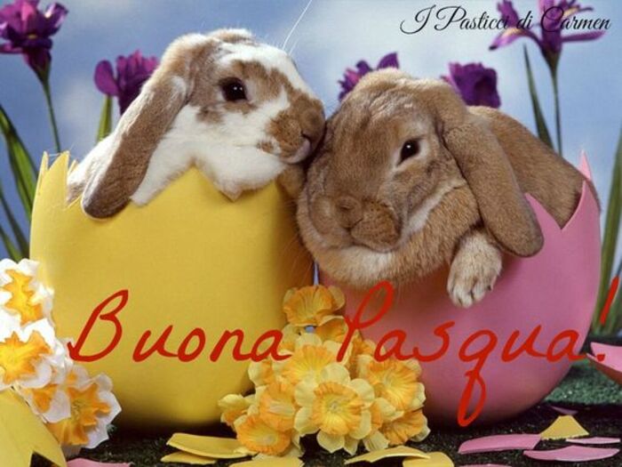 Immagini con i coniglietti - "Buona Pasqua!"