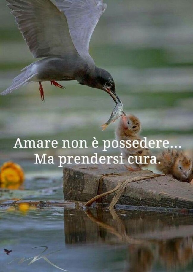 "Amare non è possedere... Ma prendersi cura."