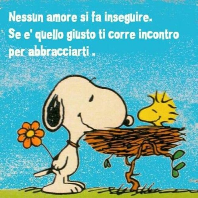 "Nessun amore si fa inseguire. Se è quello giusto ti corre incontro per abbracciarti."