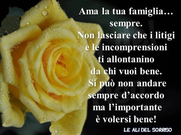 Frasi sulla Famiglia - "Ama la tua Famiglia... sempre. Non lasciare che litigi e incomprensioni....."