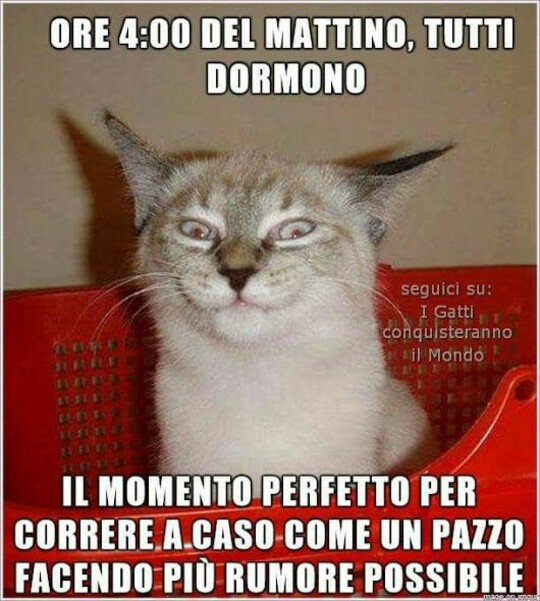 "Ore 4:00 del mattino tutti dormono. Il momento perfetto per correre a caso come un pazzo facendo più rumore possibile."