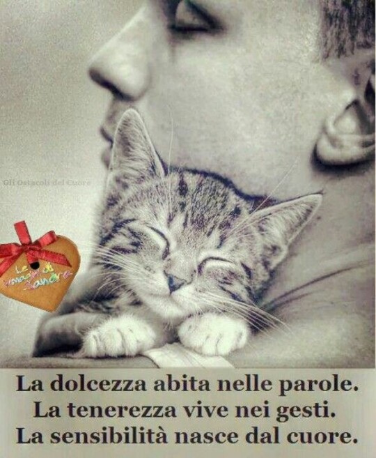 "La dolcezza abita nelle parole. La tenerezza vive nei gesti. La sensibilità nasce dal cuore."