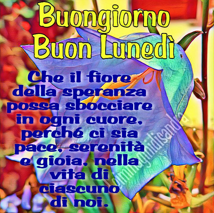 Buon Giorno Buon Lunedì di Speranza - "Che il fiore della Speranza possa sbocciare in ogni Cuore. Perchè ci sia pace, serenità e gioia nella vita di ciascuno di noi."