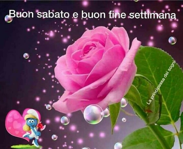 "Buon Sabato e Buon Fine Settimana"