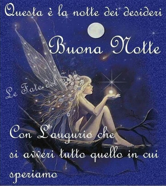 "Questa è la notte dei desideri. Buona Notte con l'augurio che si avveri tutto quello in cui speriamo"