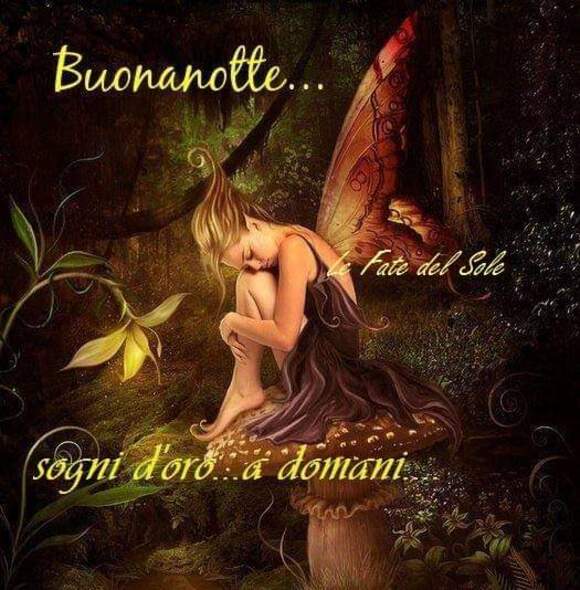 "Buonanotte... Sogni d'Oro... a Domani..."