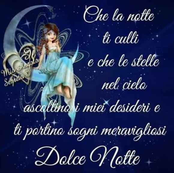 "Che la notte ti culli e che le stelle nel cielo ascoltino i miei desideri e ti portino sogni meravigliosi. Dolce Notte"