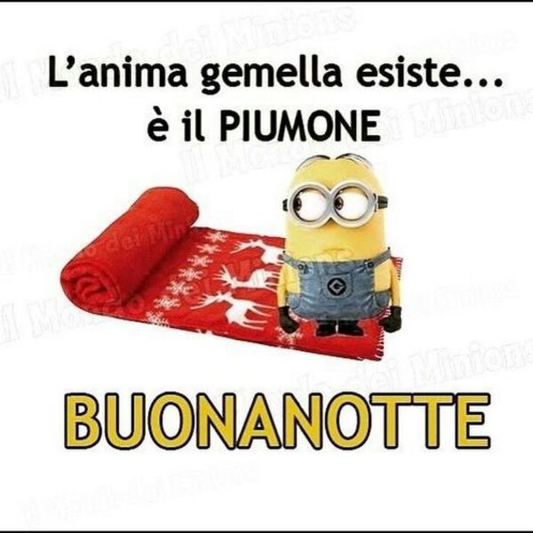 Minions - "L'anima gemella esiste... è il PIUMONE! BUONANOTTE"