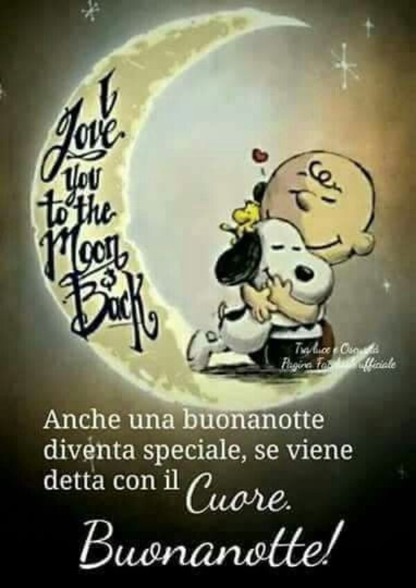"Anche una Buonanotte diventa Speciale se viene detta con il cuore." - Snoopy e Charlie Brown