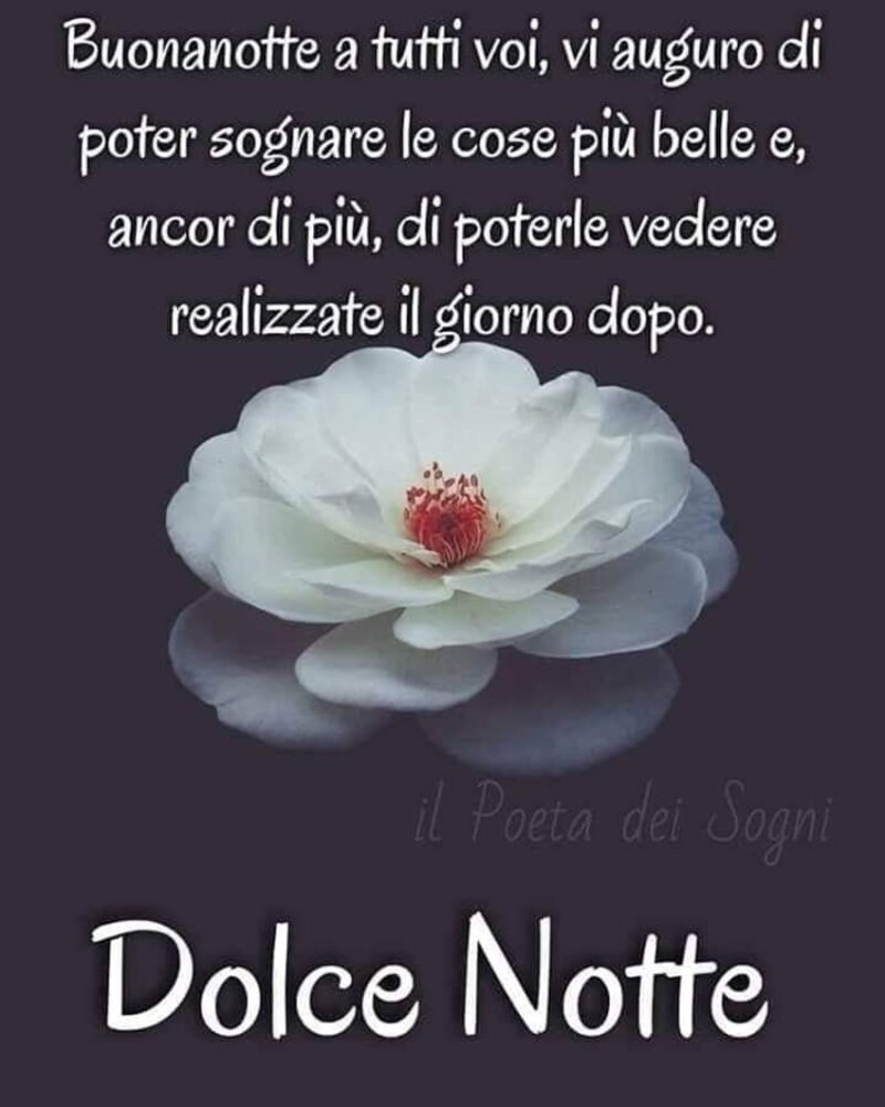 "Buonanotte a tutti voi, vi auguro di poter sognare le cose più belle, e ancor di più, di poterle vedere realizzate il giorno dopo. Dolce Notte"