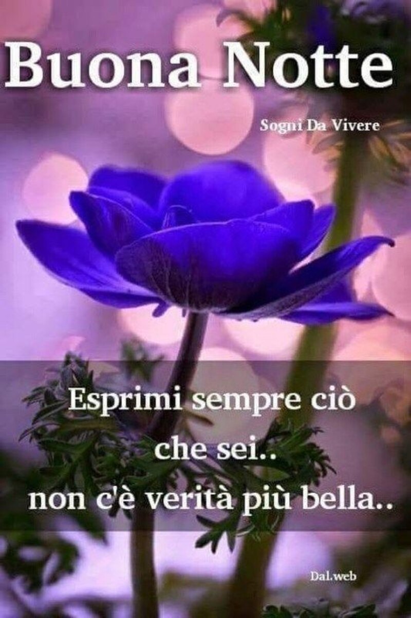 Buonanotte con i fiori - "Esprimi sempre ciò che sei... Non c'è verità più bella..."