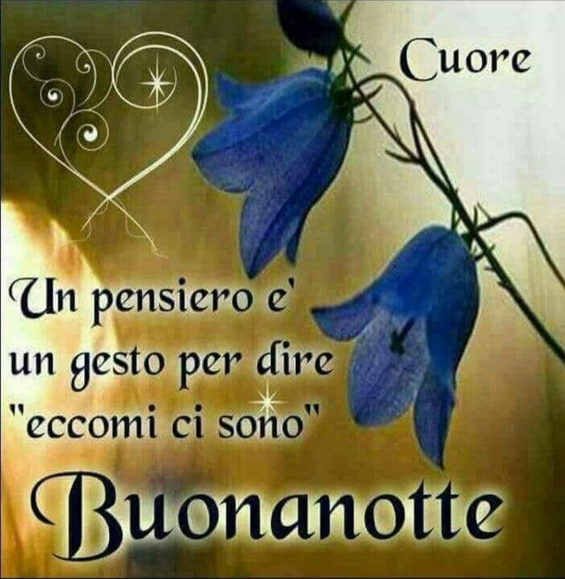 "Un pensiero è un gesto per dire eccomi ci sono. Buonanotte"