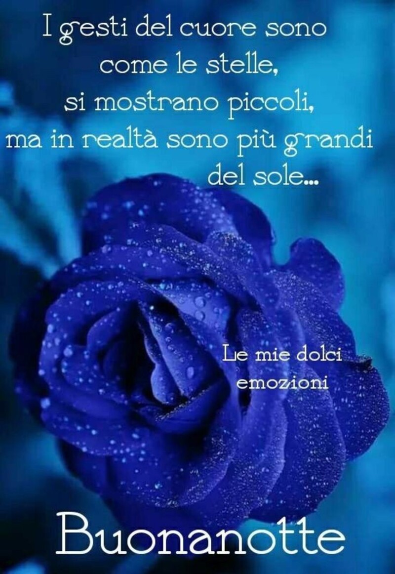 Buonanotte con una rosa blu