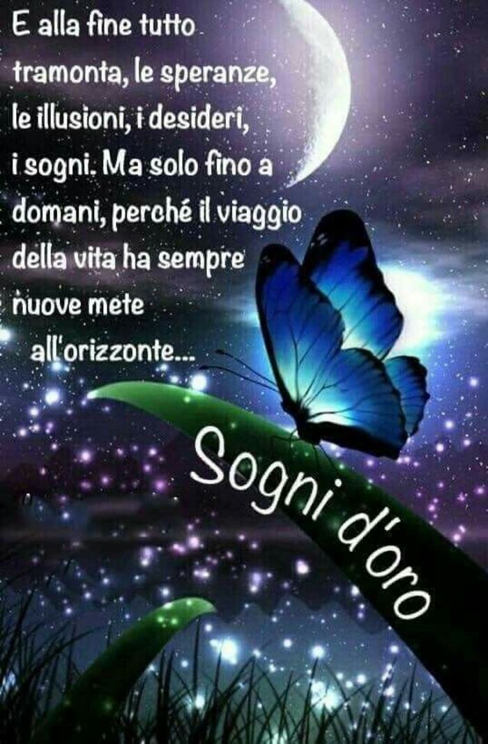 "E alla fine tutto tramonta, le speranza, le illusioni, i desideri, i sogni. Ma solo fino a domani, perchè il viaggio della vita ha sempre nuove mete all'orizzonte... Sogni d'Oro"