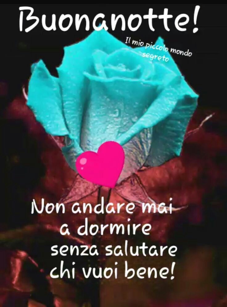 "Non andare mai a dormire senza salutare chi ti vuole bene! Sogni d'Oro" - Buonanotte con le rose