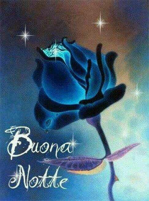 Buona Notte rosa blu