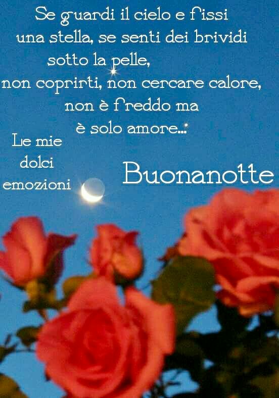 "Se guardi il cielo e fissi una stella, se senti dei brividi sotto la pelle, non coprirti, non cercare calore, non è freddo ma è solo amore... Buonanotte"