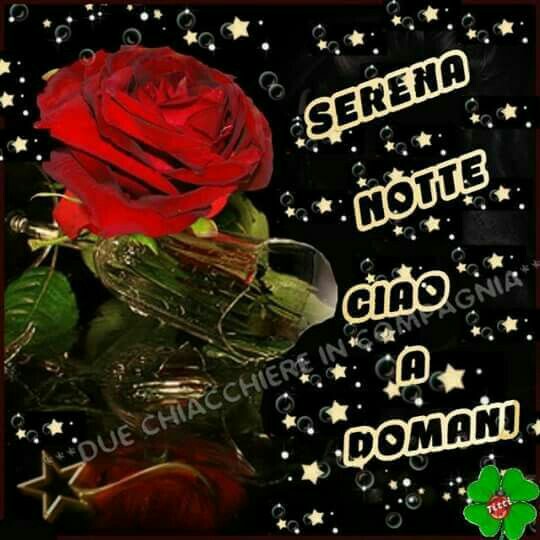 Buonanotte con le rose rosse