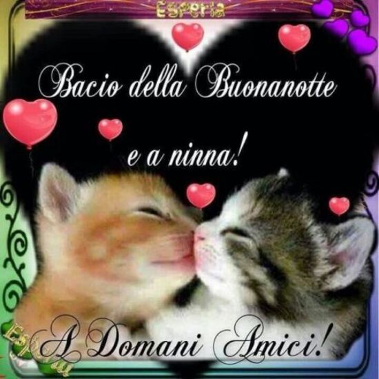 "Bacio della Buonanotte e a ninna! A Domani Amici!"