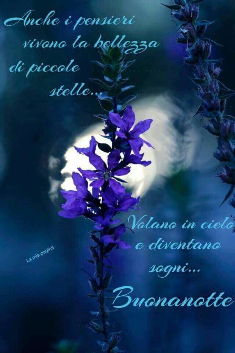 "Anche i pensieri vivono la bellezza di piccole stelle. Volano in cielo e diventano sogni. Buonanotte"